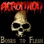 Acromion : Bones to Flesh